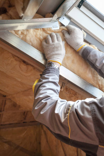 Best Insulation Removal Services  in Mechanicville, NY